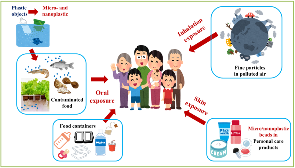 Nanoplastics, Potential Impacts from Tiny Particles スポーツ健康医科学研究所｜順天堂大学