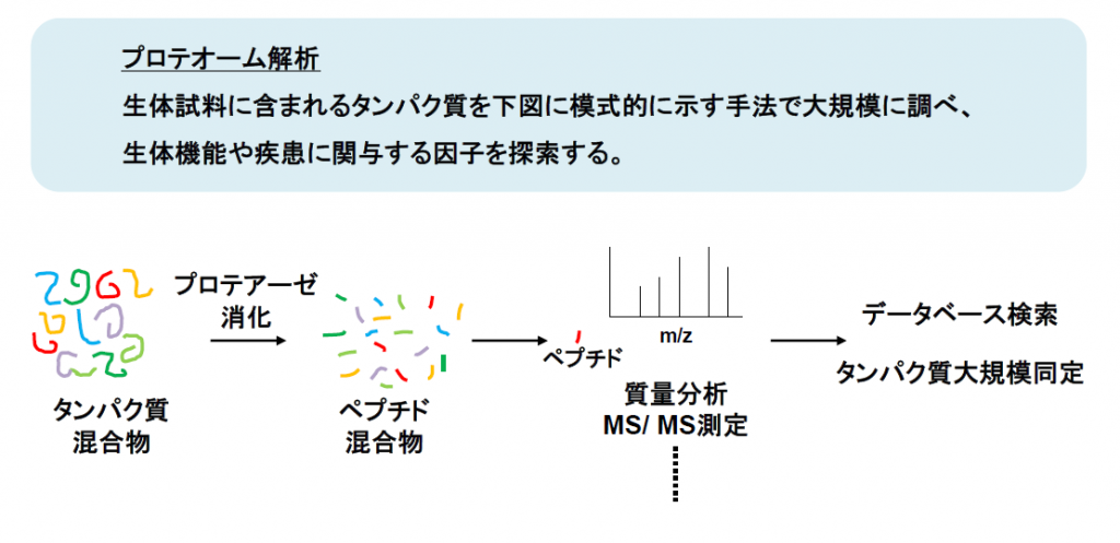 プロテオミクス研究 環境医学研究所｜順天堂大学